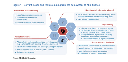 Figure 1 : Relevant issues and risks stemming from the deployment of AI in finance